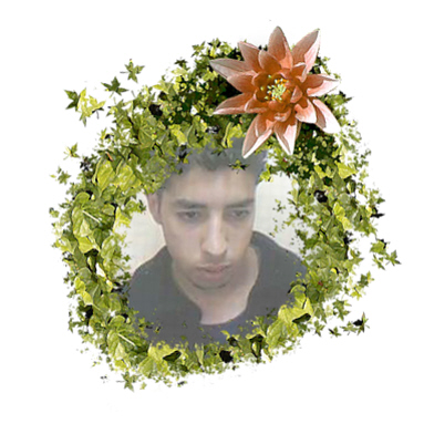 mon freer